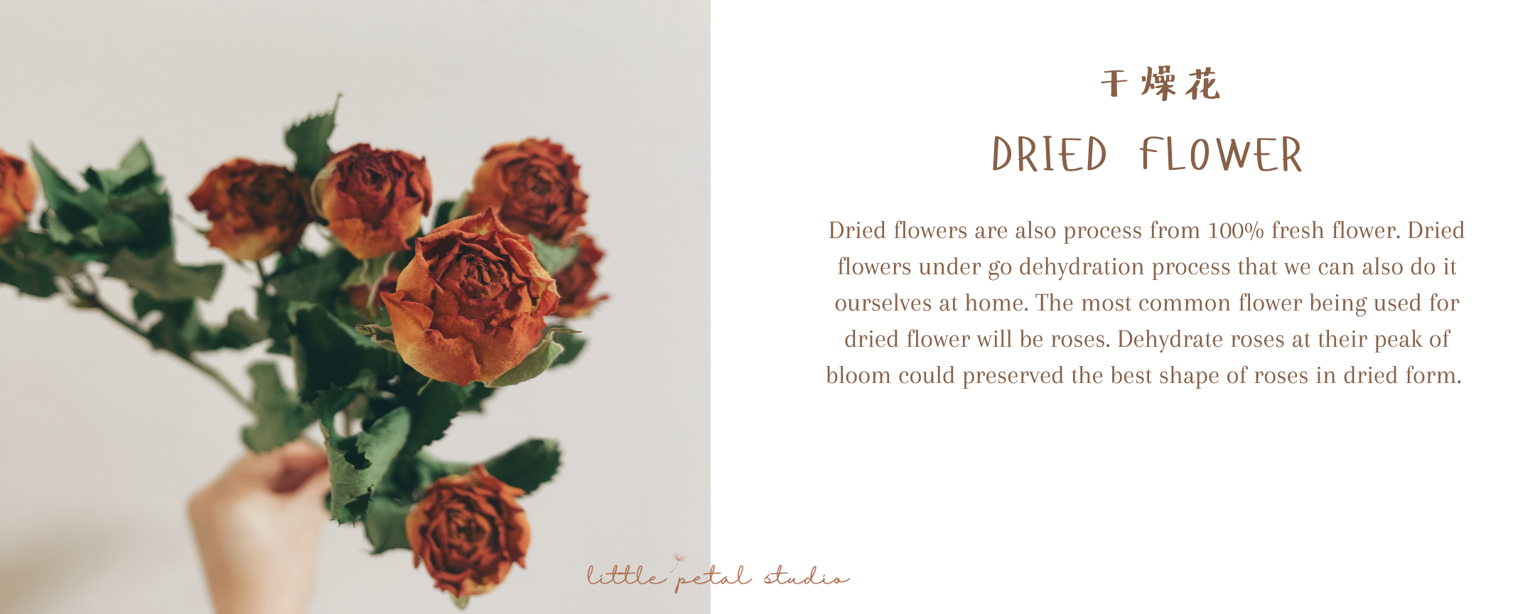 Website launch Sale (3)