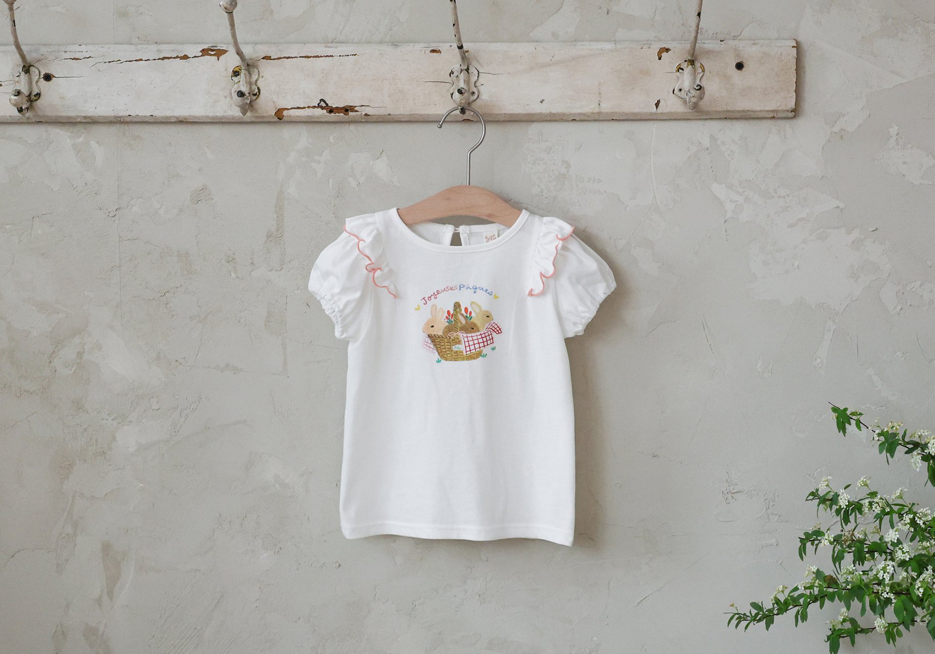 804e211c8ab387a28f4dc5cbd35e2045