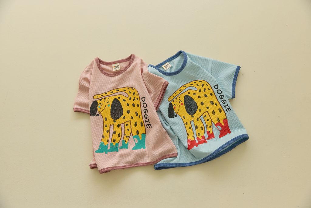 b5585dee5m96cf95a0ccf4f6565f80b2