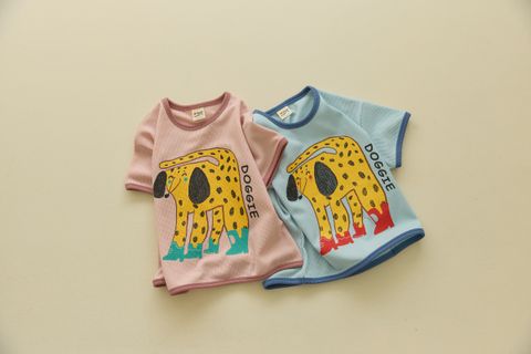 b5585dee5m96cf95a0ccf4f6565f80b2