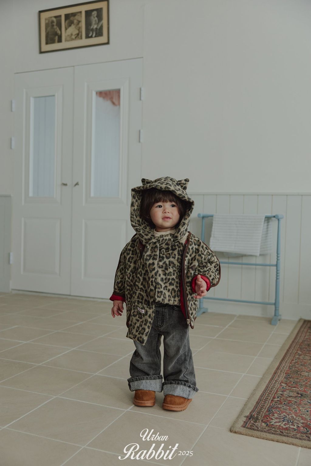 016886fbai6674d03ffb235b2e7c3085