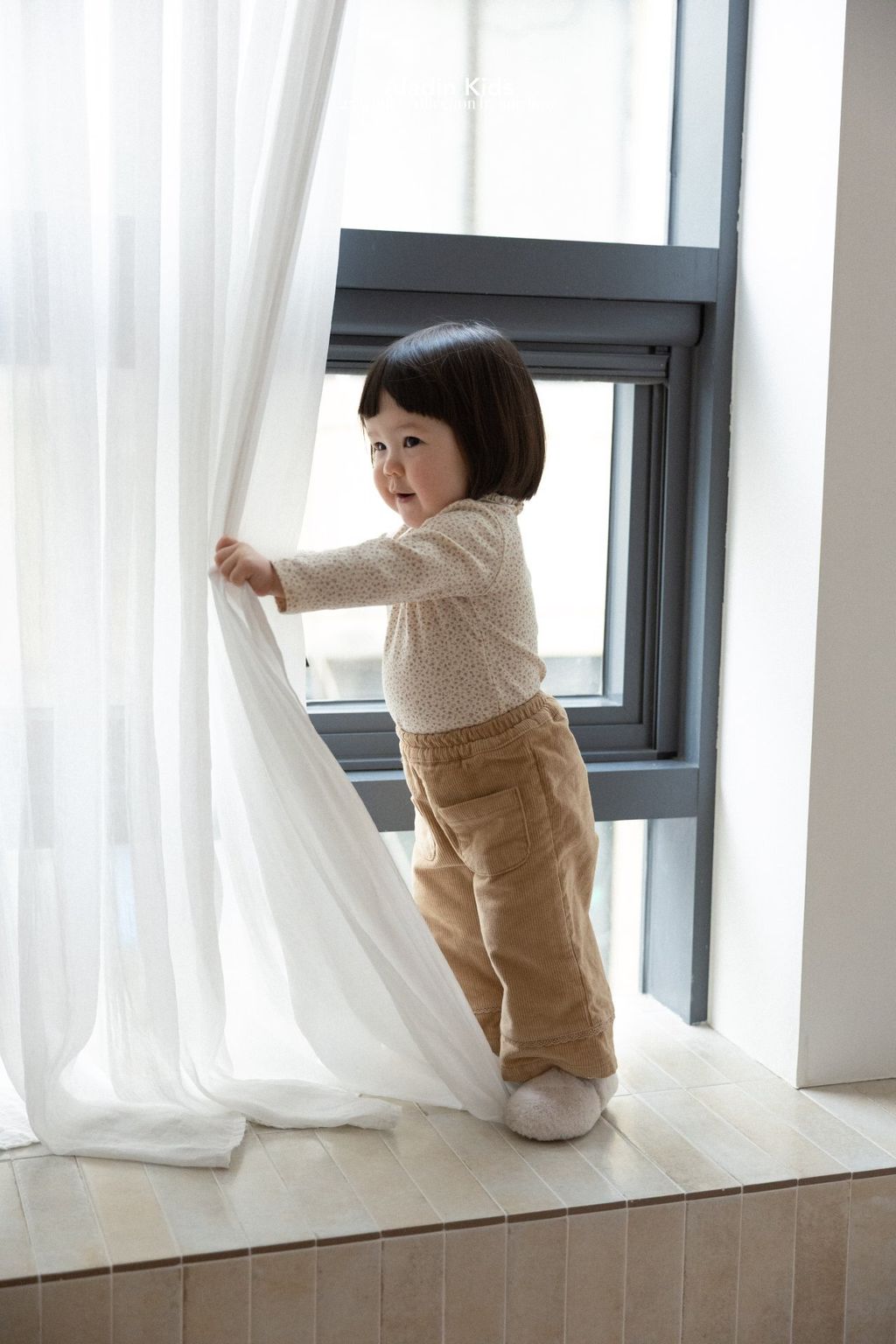 43ab56e6c2a3e43d63382664879f3481