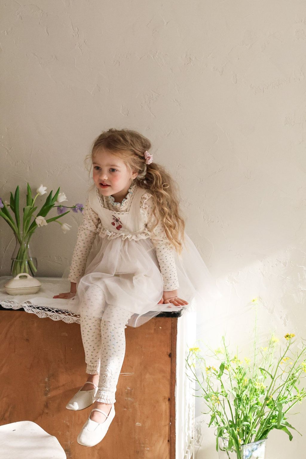 c091dd29d27574de12f22036120737d2