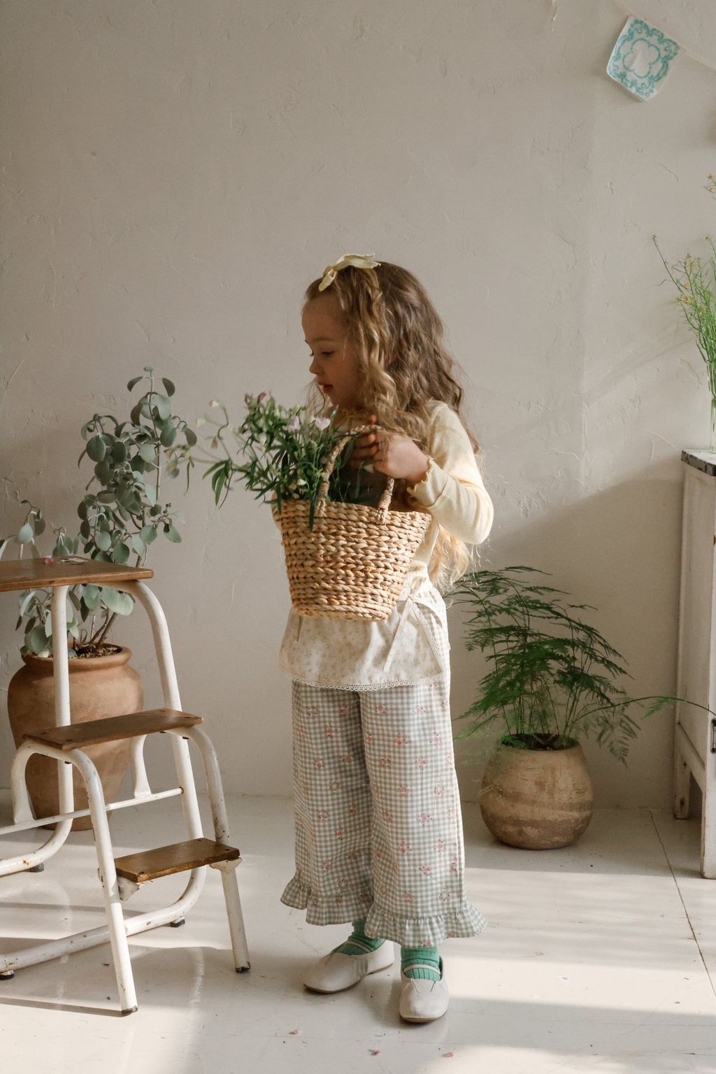 500b6ee47125d7a05fba3253f9befbe7