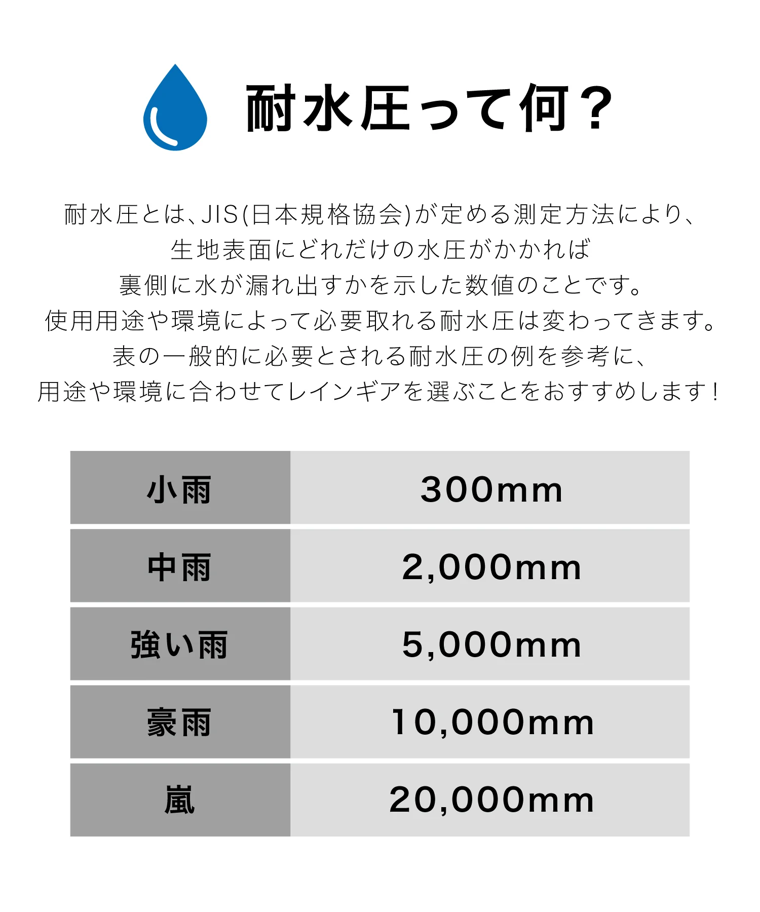 wp_imag0312_1500x1800