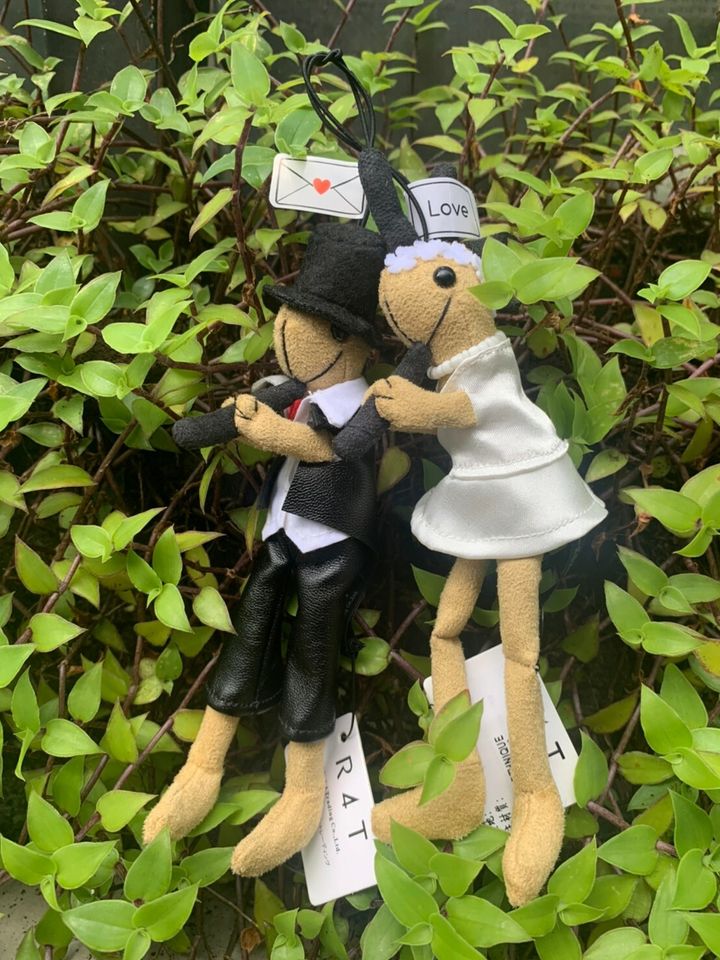 LINE_ALBUM_暫放_220623_10.jpg