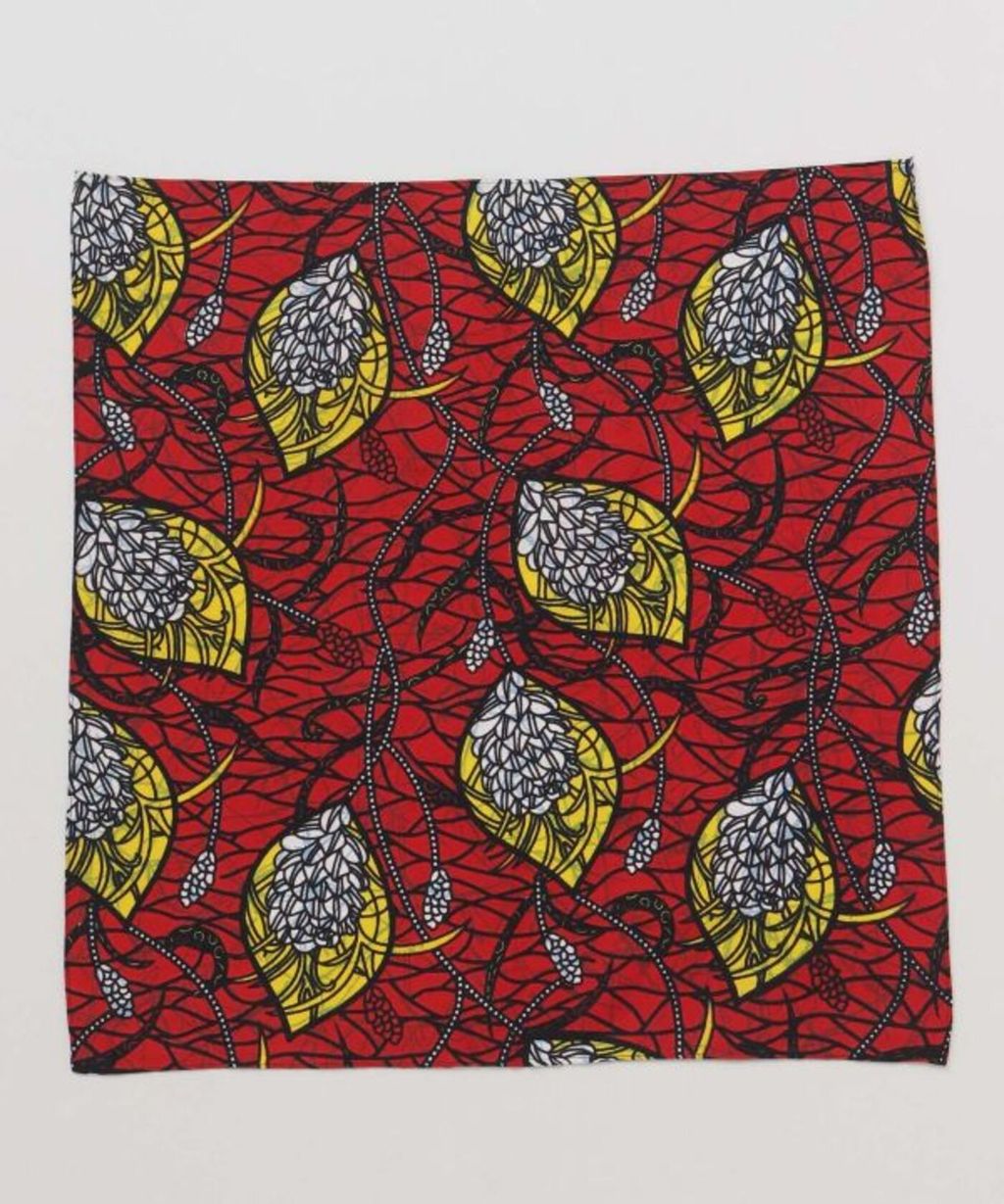 IRAP5107_RED
