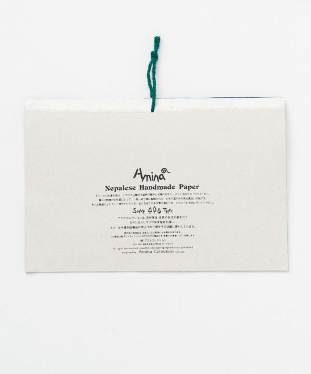 NSSP5302_p8
