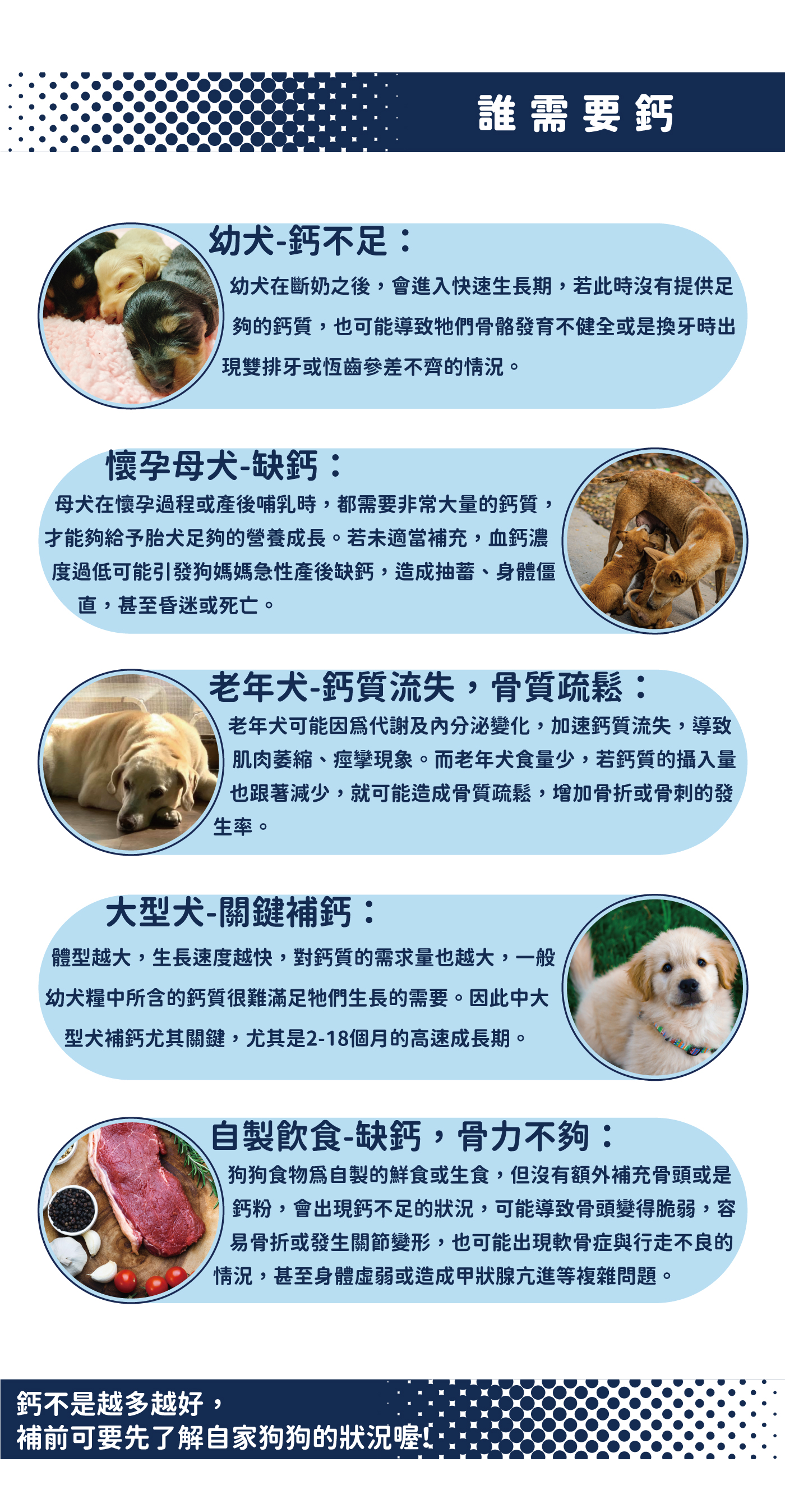 狗狗補鈣怎麼吃最好 貝樂星