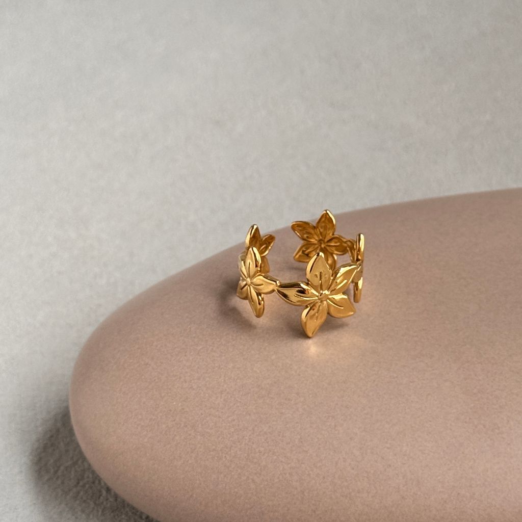 image_3198635D-BA9A-4285-9A1F-1FBCA820AE31_1760509040