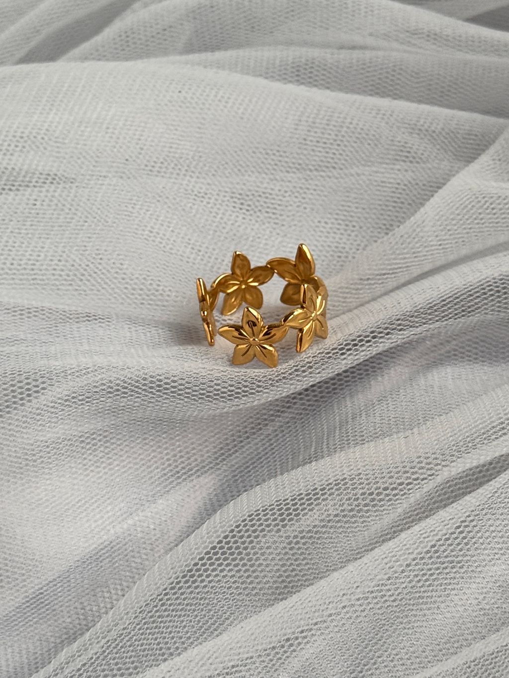 image_8658BDAB-B09B-4673-B66F-F0CFF4C02991_1760509040