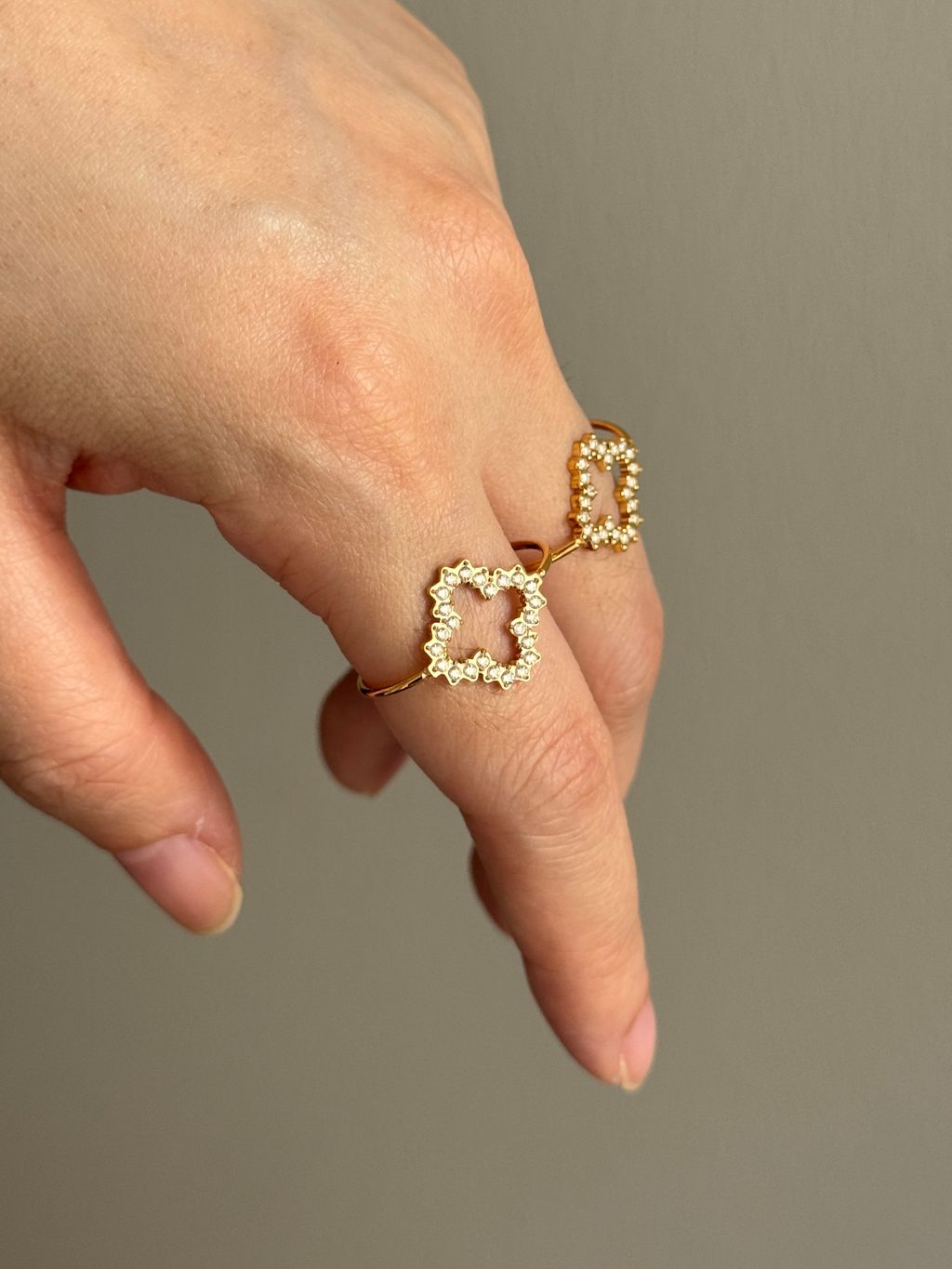 image_57E544E3-4EF3-4CB3-8199-347201C4CB92_1764074117