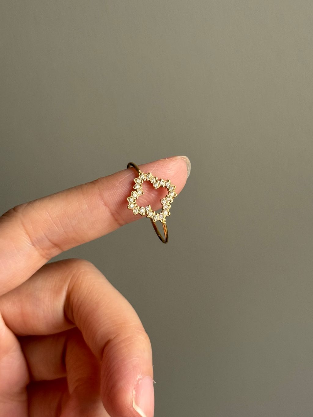 image_7A7BE57C-22F9-4112-8A78-99F42EDFD9DB_1764074117