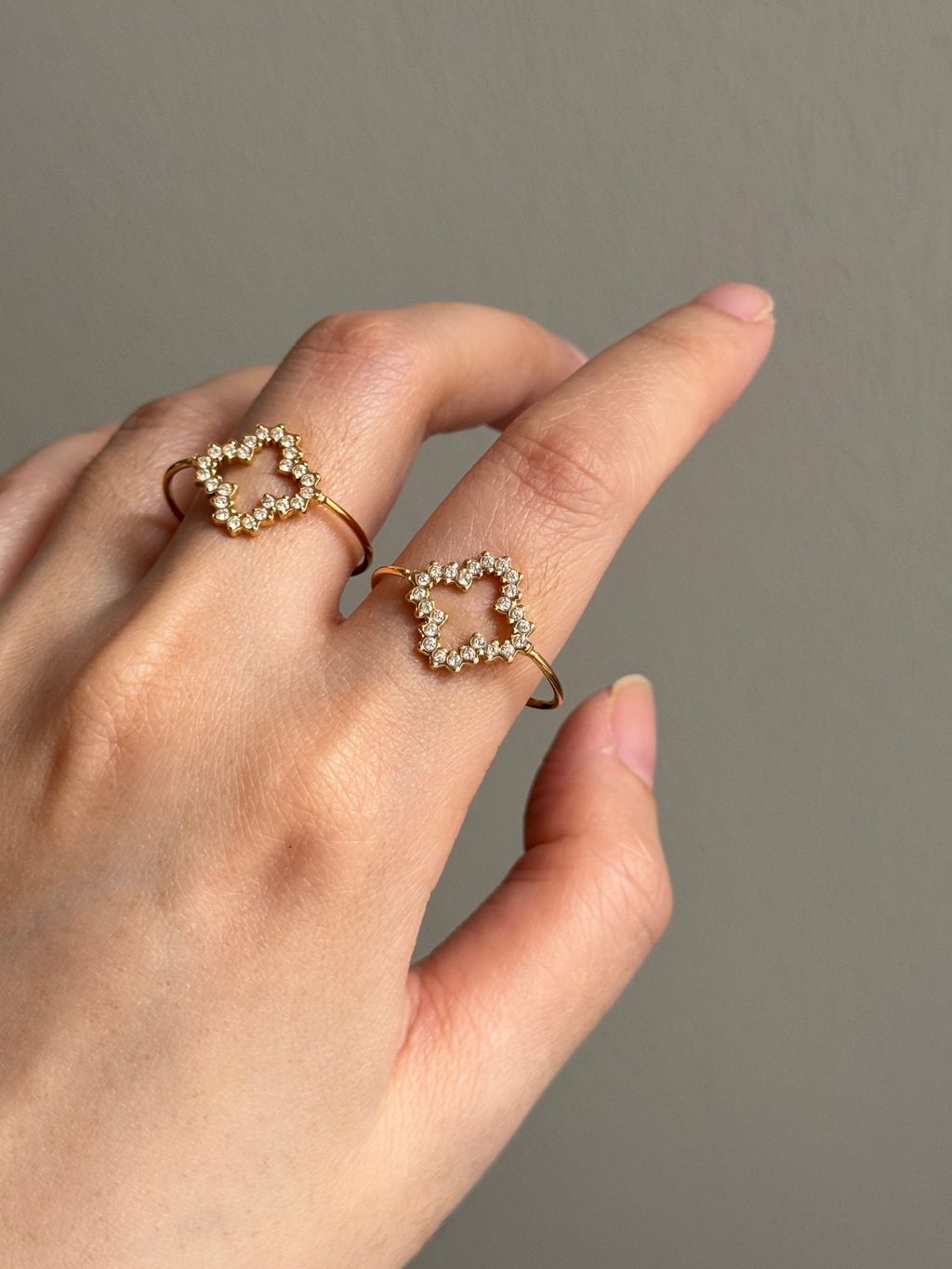 image_7899584C-5ABA-48FA-B04A-CA4C6F709A6F_1764074117