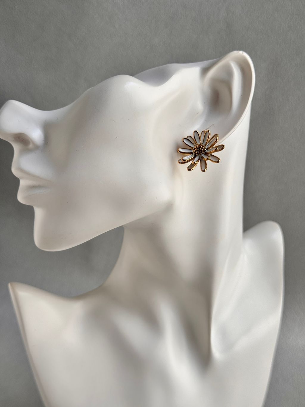 image_E8AB18F5-A600-48A0-8618-02DD483147E7_1764150705