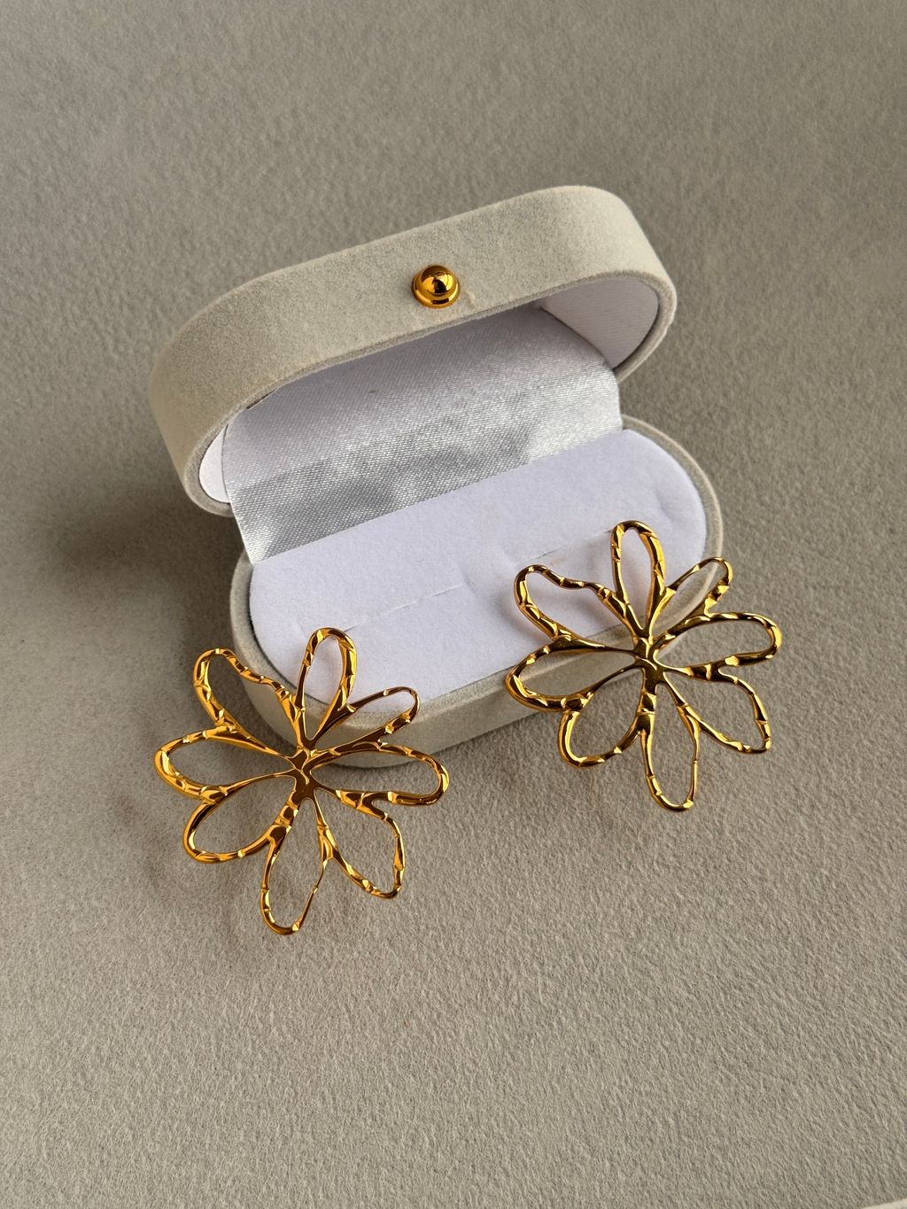 image_B61D9563-2613-4277-A8A6-550FCF91BCBD_1764166687