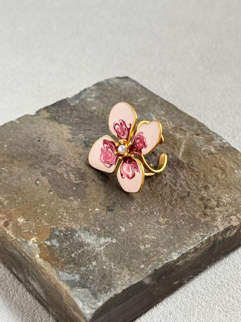 image_0D70AAAA-CEC6-4D26-9599-701C6D922DC0_1764666902