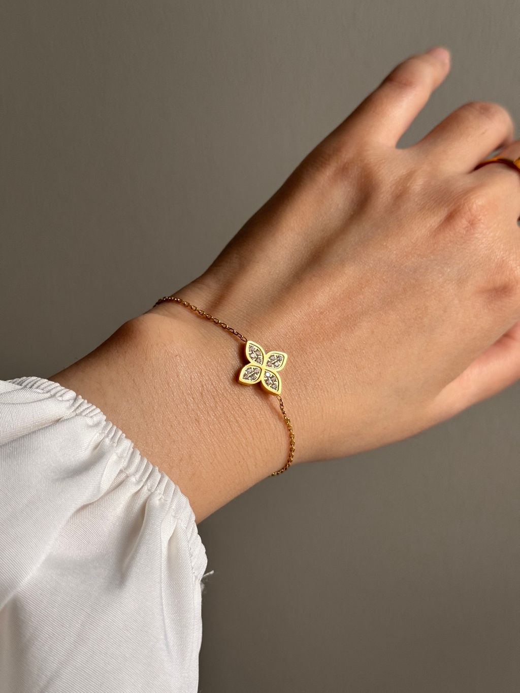 image_529D75B4-FD14-453A-A333-E87D3A6315CE_1766411908