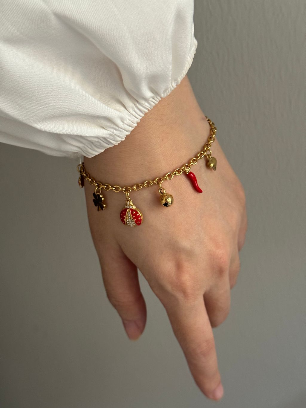 image_AB218D78-8FB1-47F0-A44F-EDB09D509984_1766572546