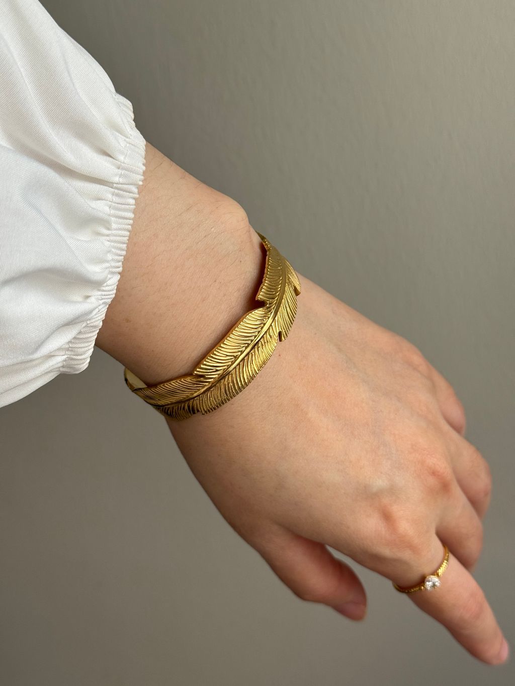 image_44955CEB-E253-4B9C-9AEC-E6B79BCD73D8_1767099332