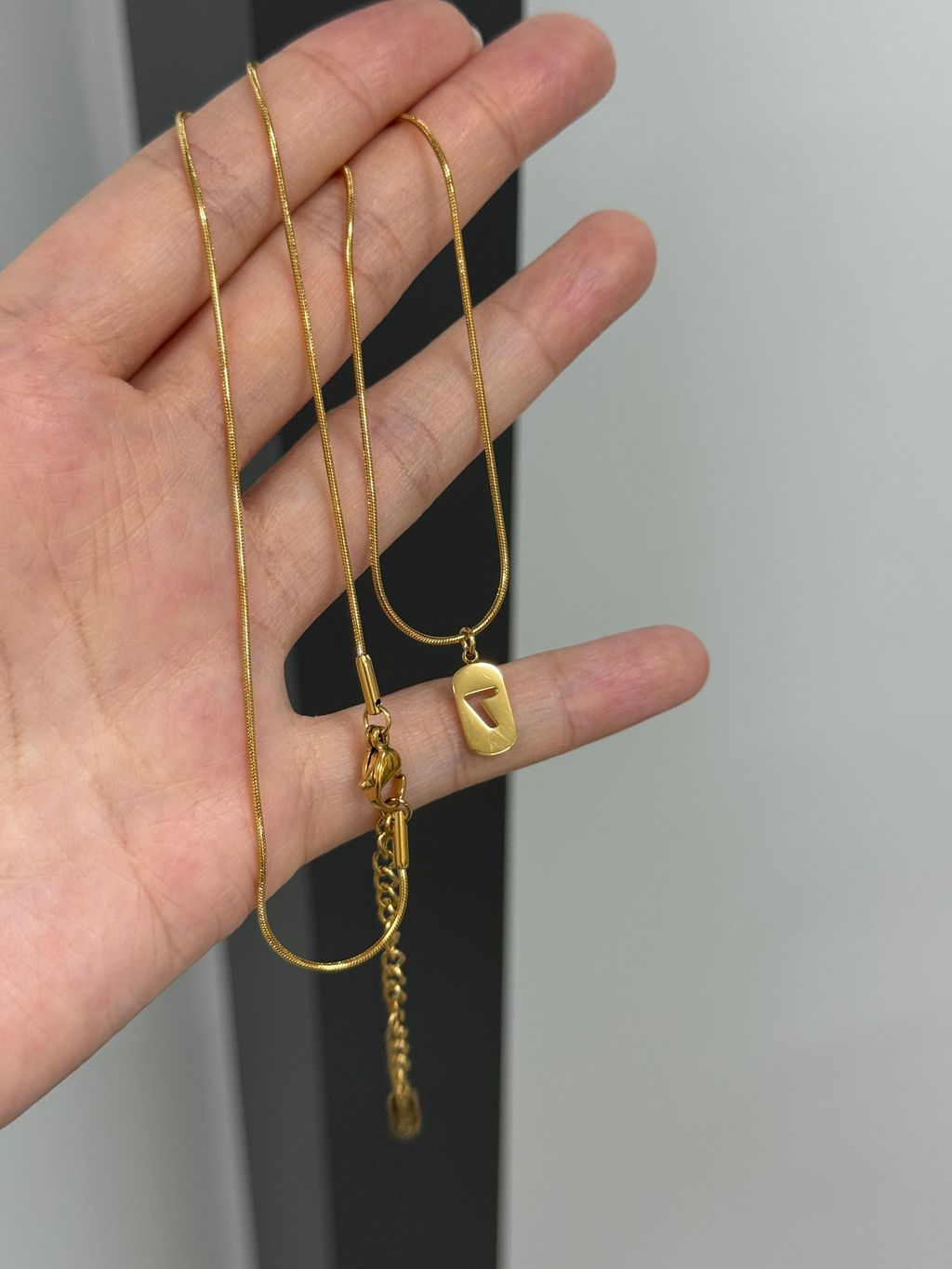 image_D164DC6C-8247-46E8-A94D-B0E6DB8EFB4D_1767606011