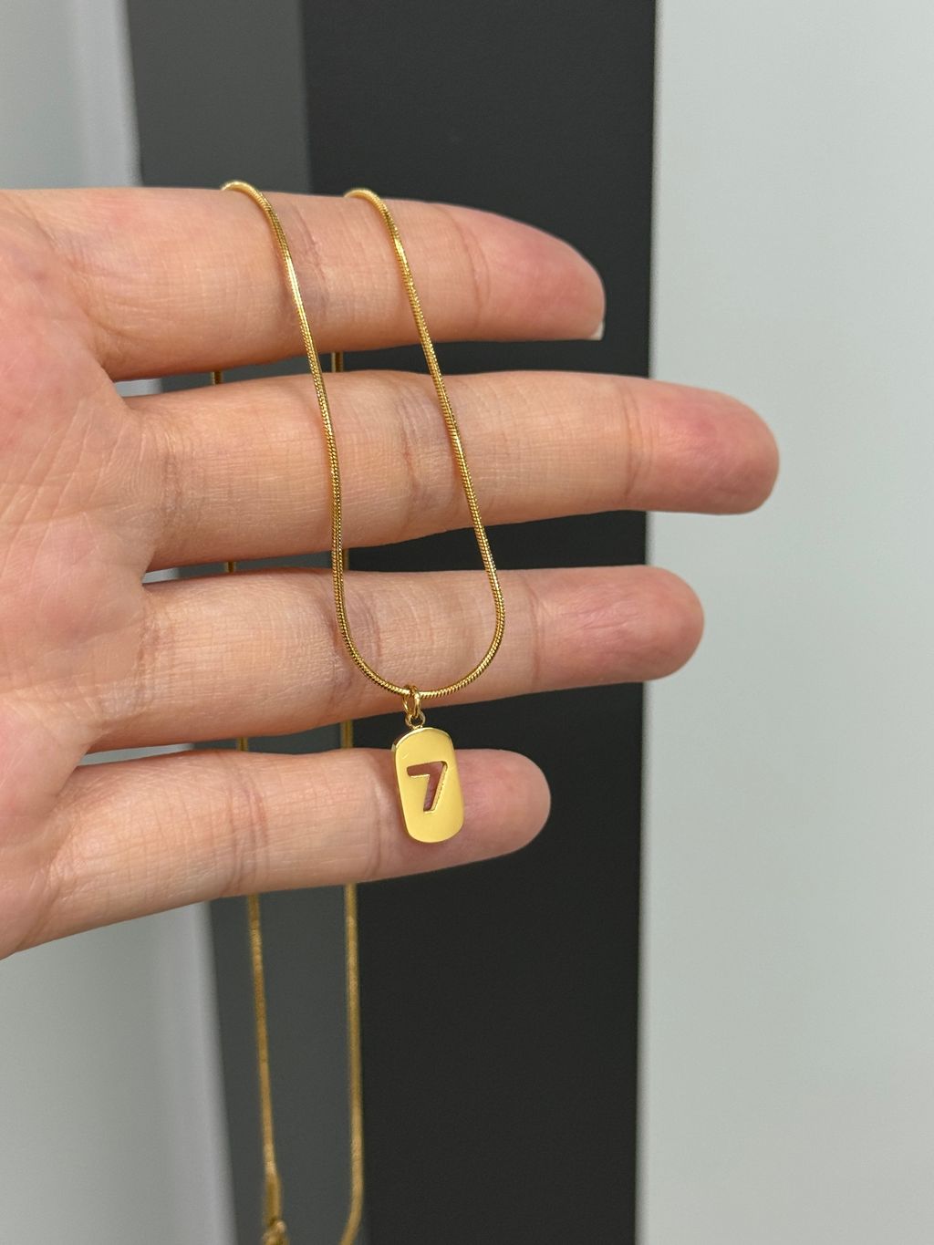 image_F1AEB384-4BB8-433A-A4E4-96ADE3B7B903_1767606011