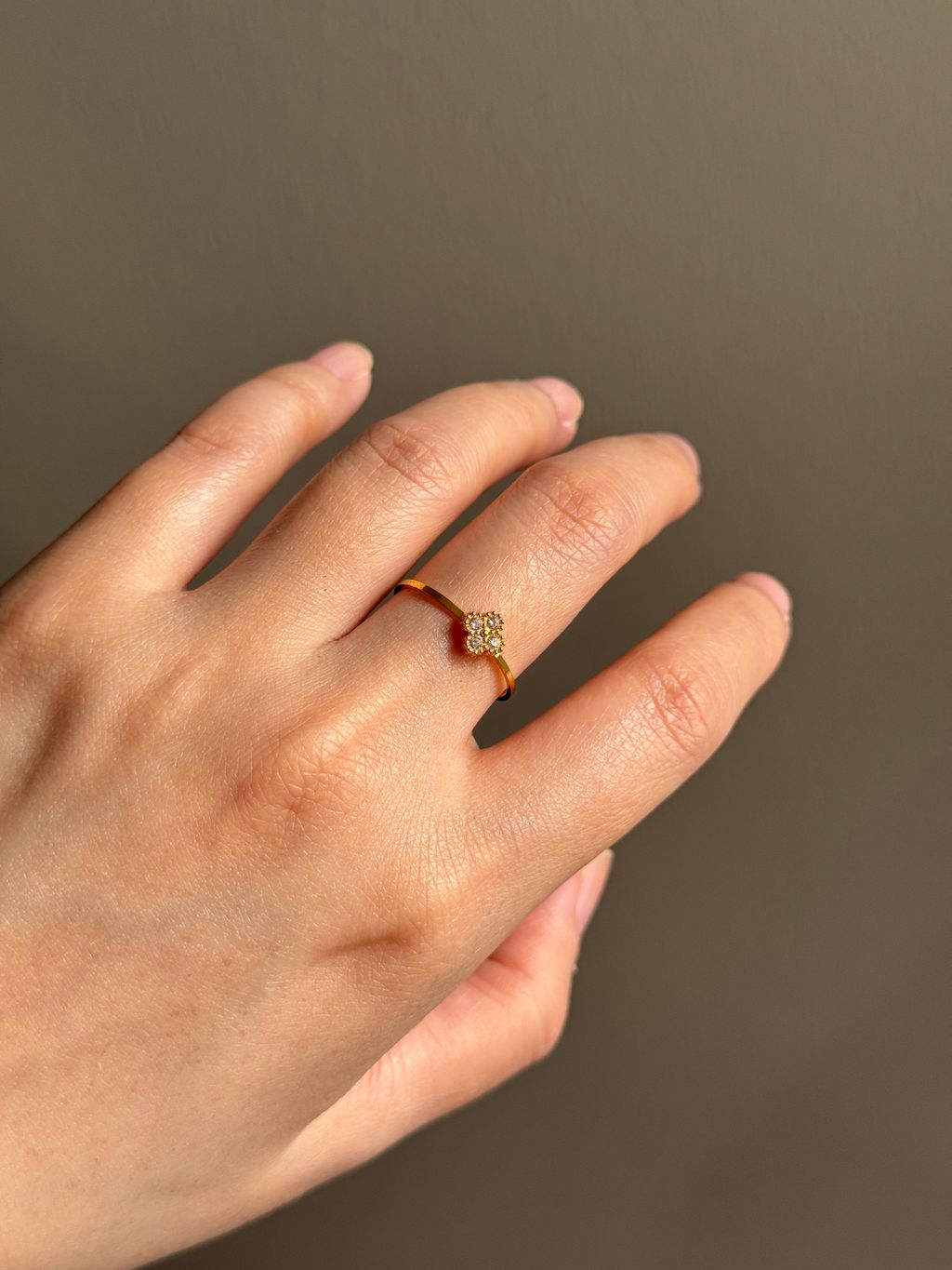 image_DBB03BD3-DFEE-426F-8033-3D2760192363_1768837482