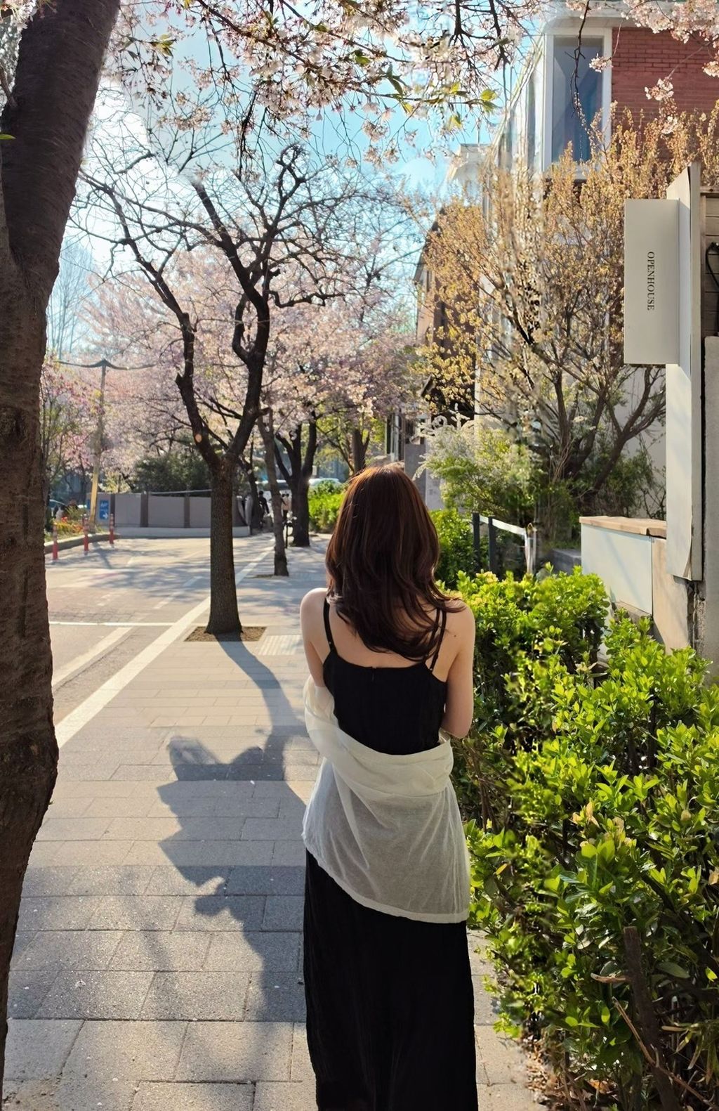 S__289775664_0