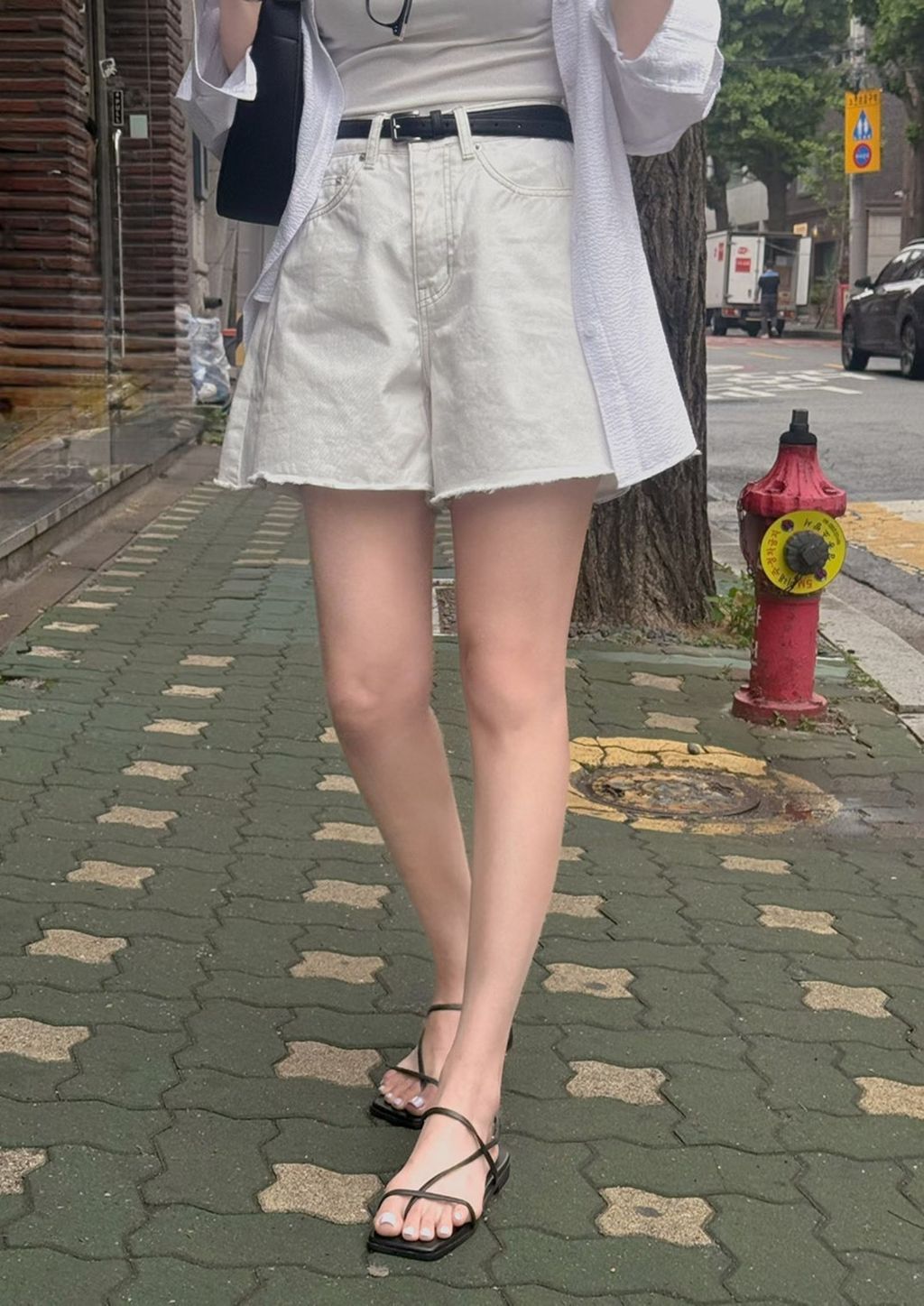 S__295460965_0