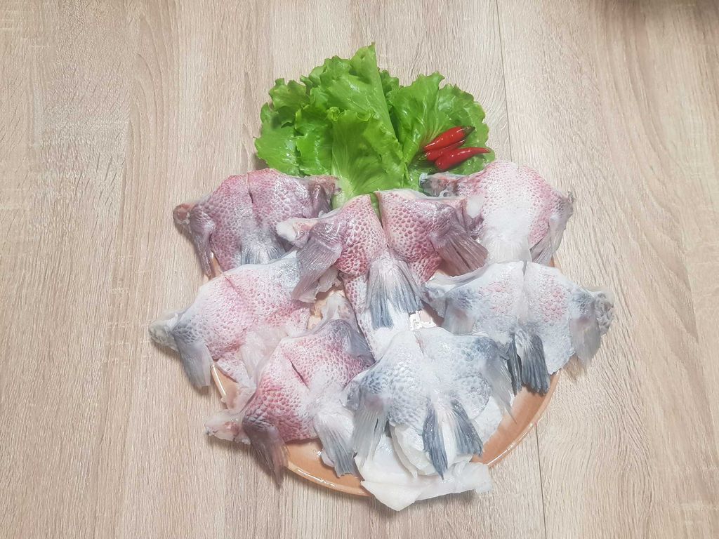 鯛魚下巴 (4)