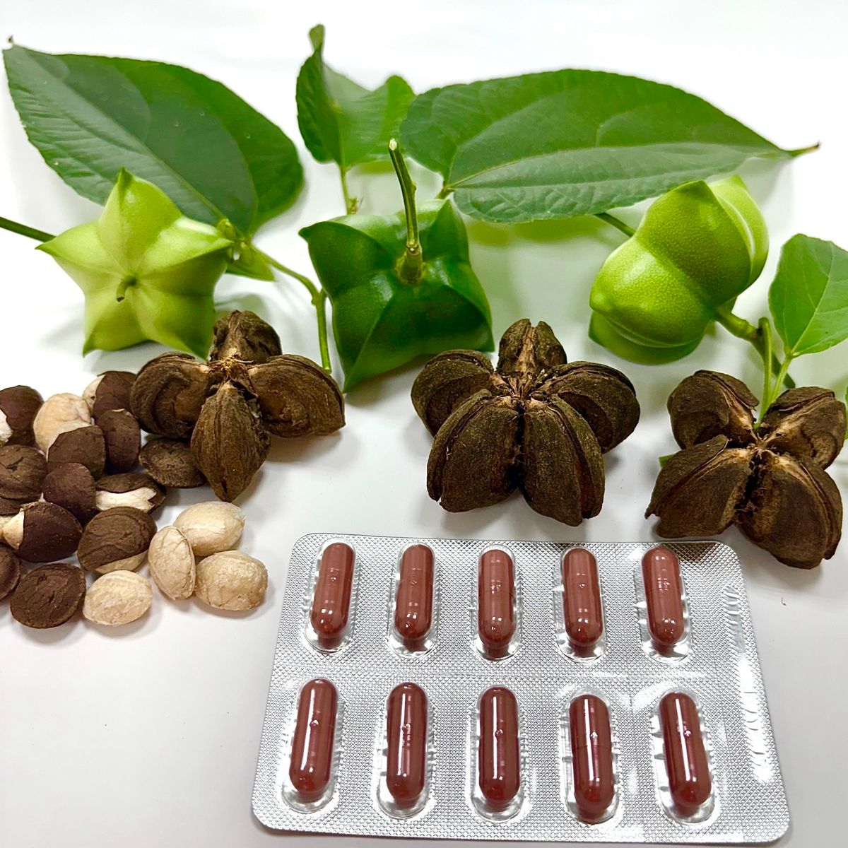 ✨印加果油 Plus(+)維生素K2、D3複方膠囊✨新上架‼️