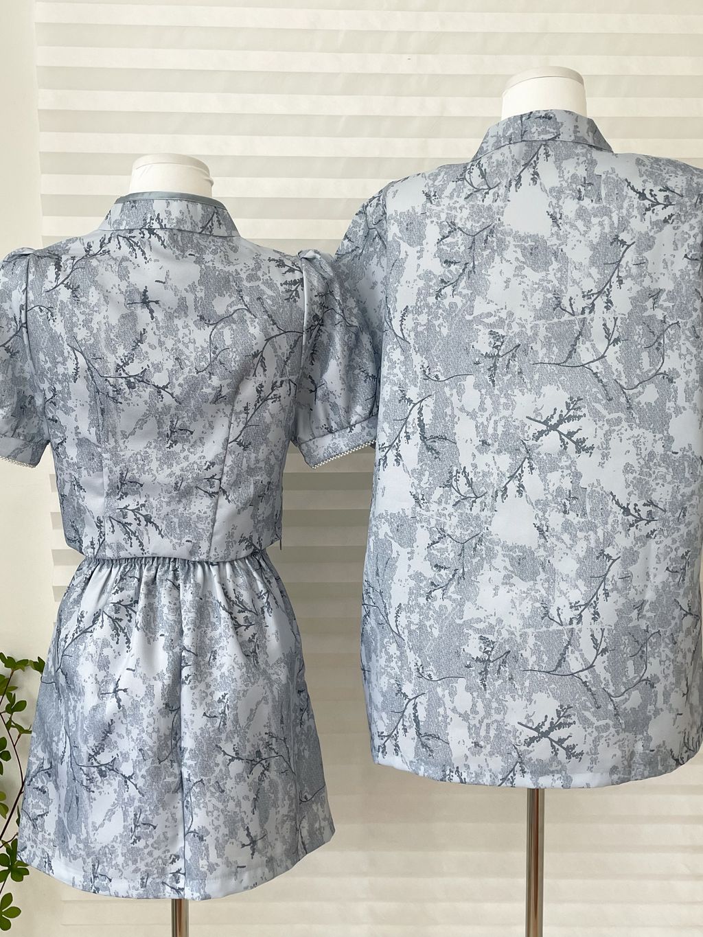 IMG_1941-1731052498149