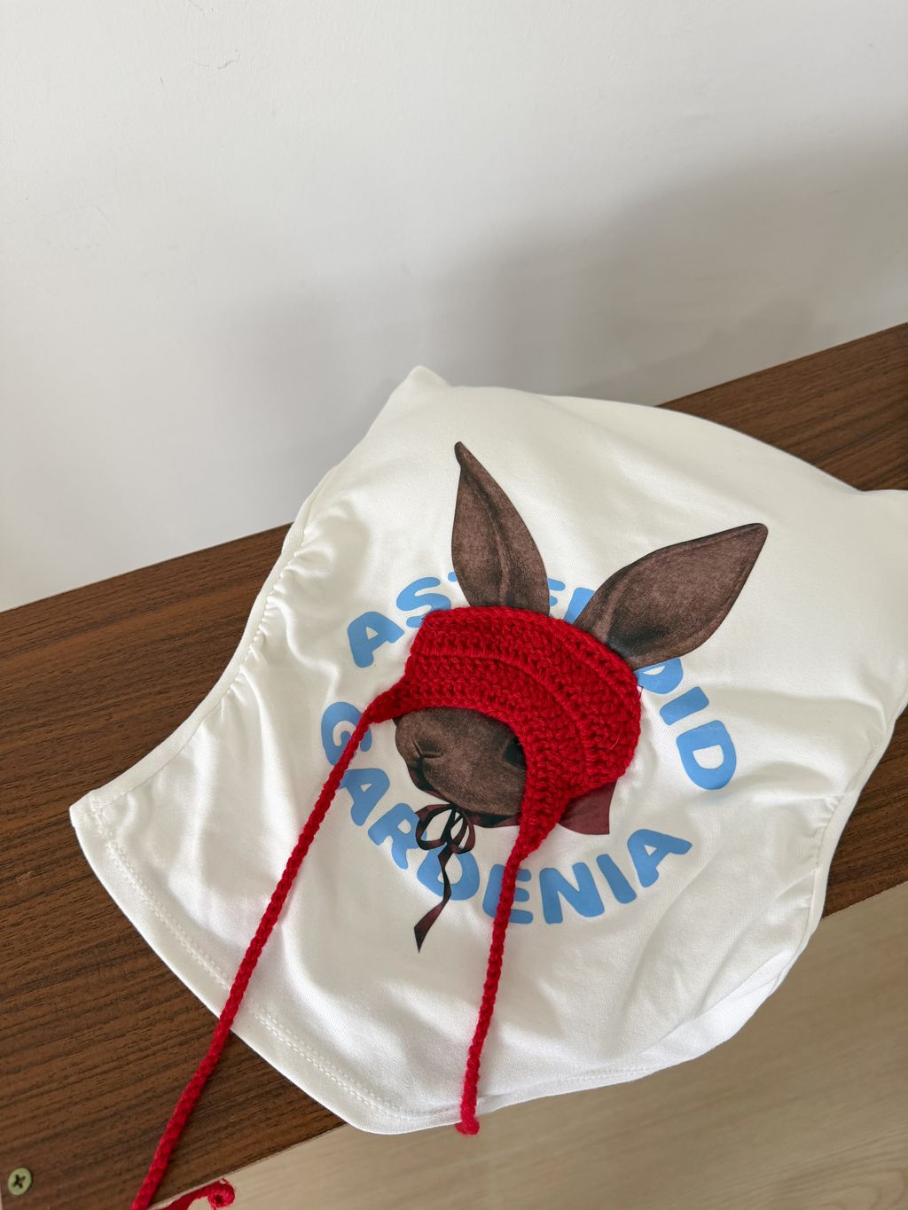 image_D619B394-A596-47CB-B34A-E98C102A40C5_1764313707