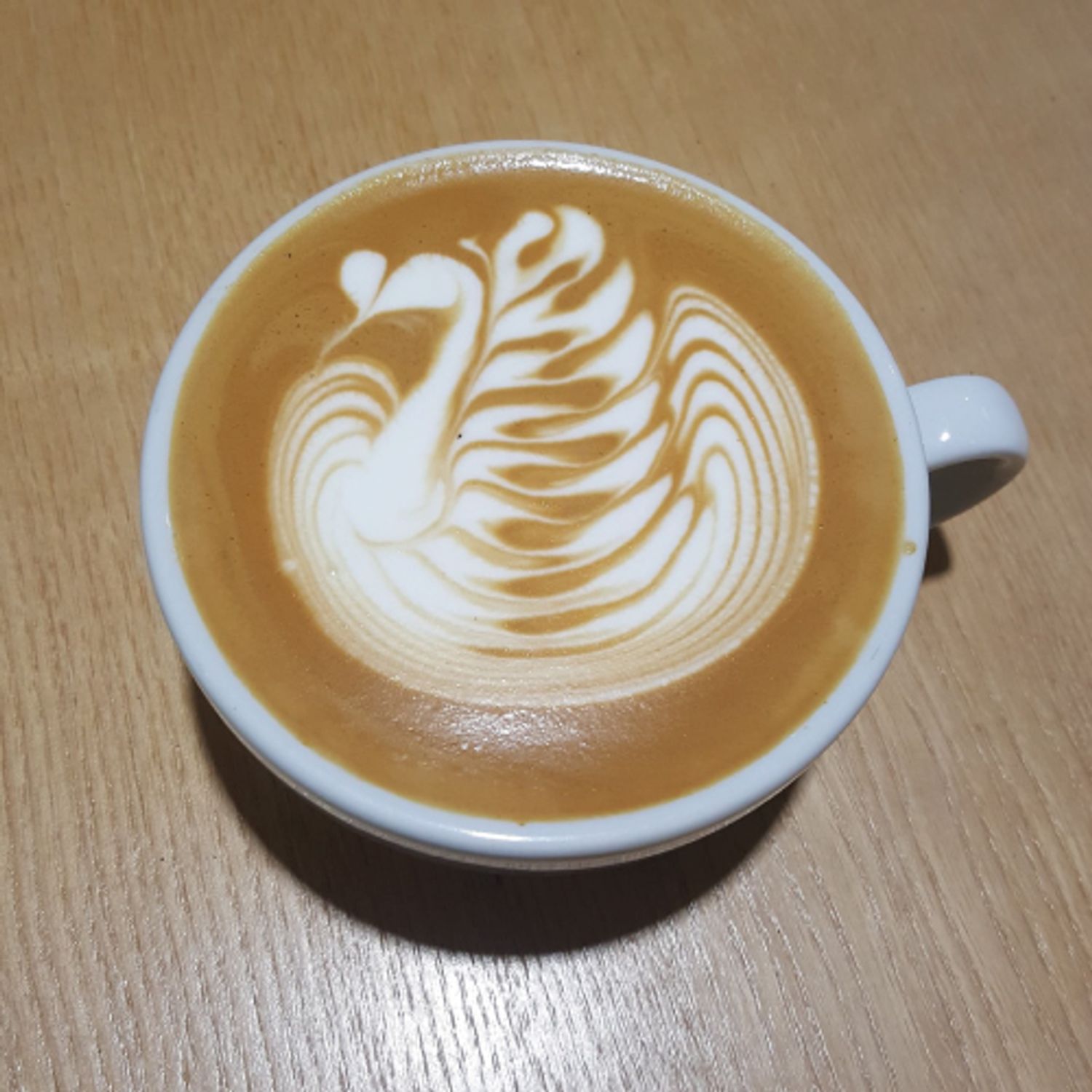 Coco Art Studio - Online Coffee Workshop Review