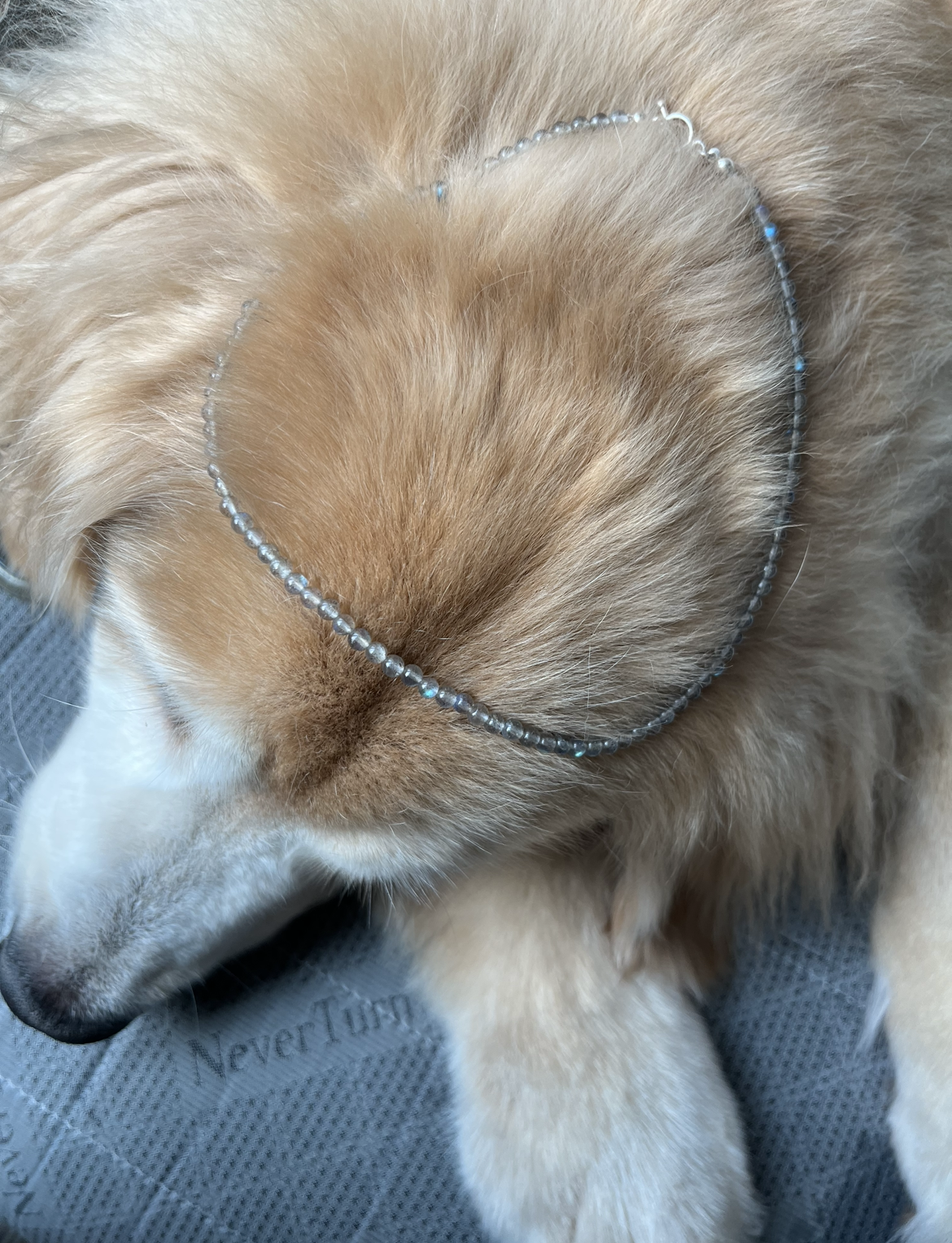 soraya拉長石項鍊, 配戴展示圖