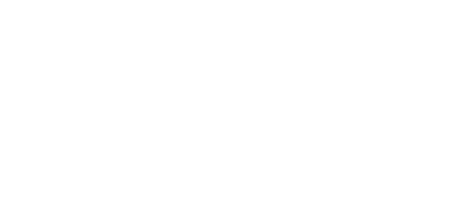 CHASING