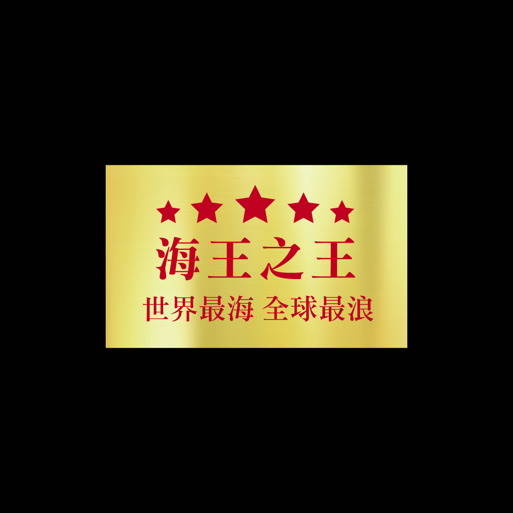 海王之王