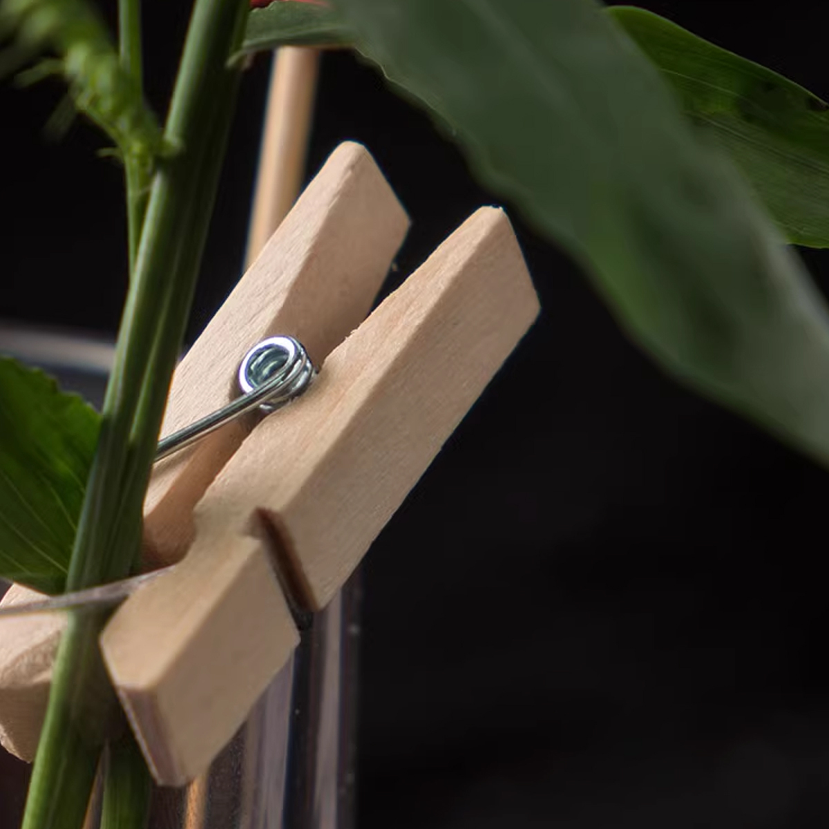 調酒裝飾木夾_4