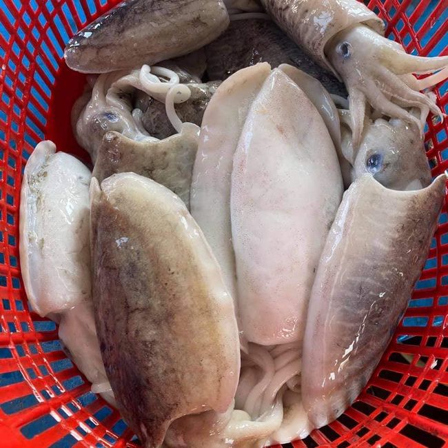 Sekinchan Freshmart | Product Category - SEAFOOD