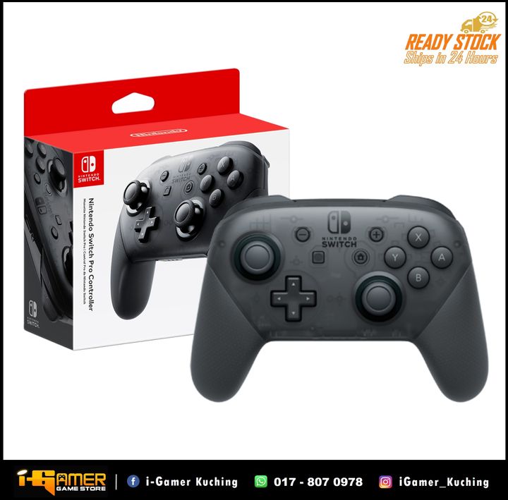 Pro Controller (Grey).jpg