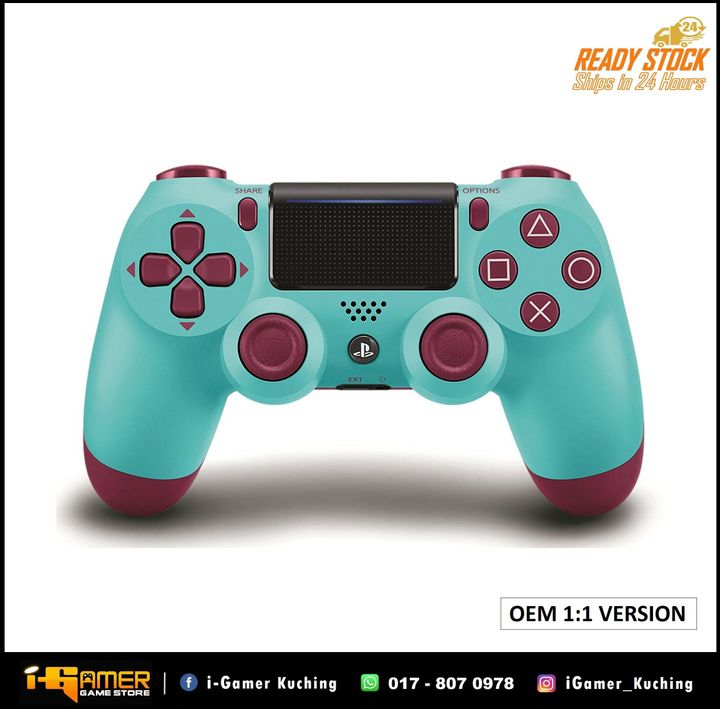 PS4 DUAL SHOCK 4 CTRL (OEM)-1.JPG