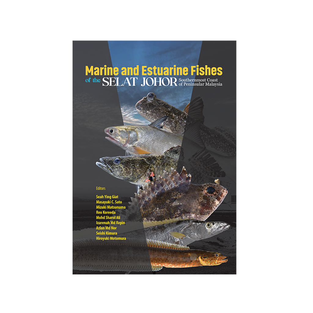 marine estuarine1