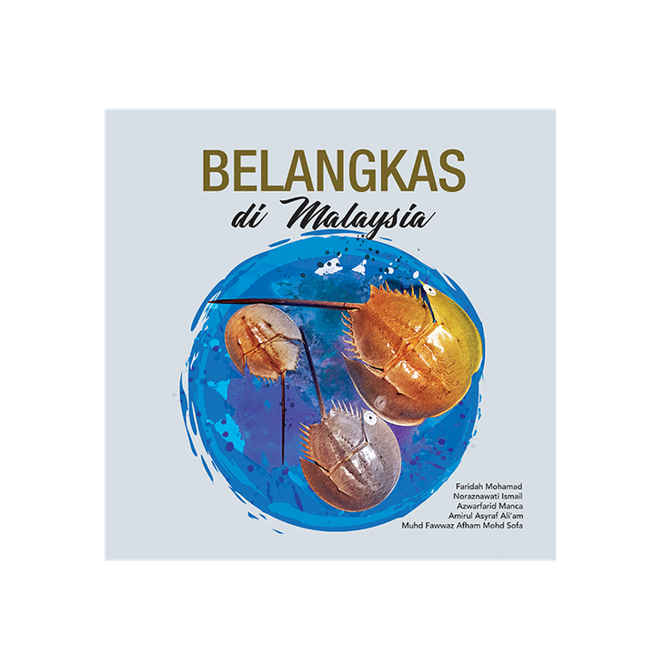 belangkas2.png