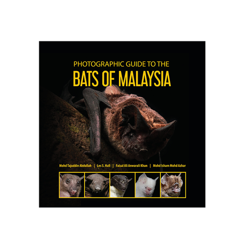 bats2.png