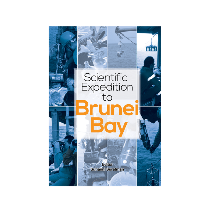 bruneibay2.png