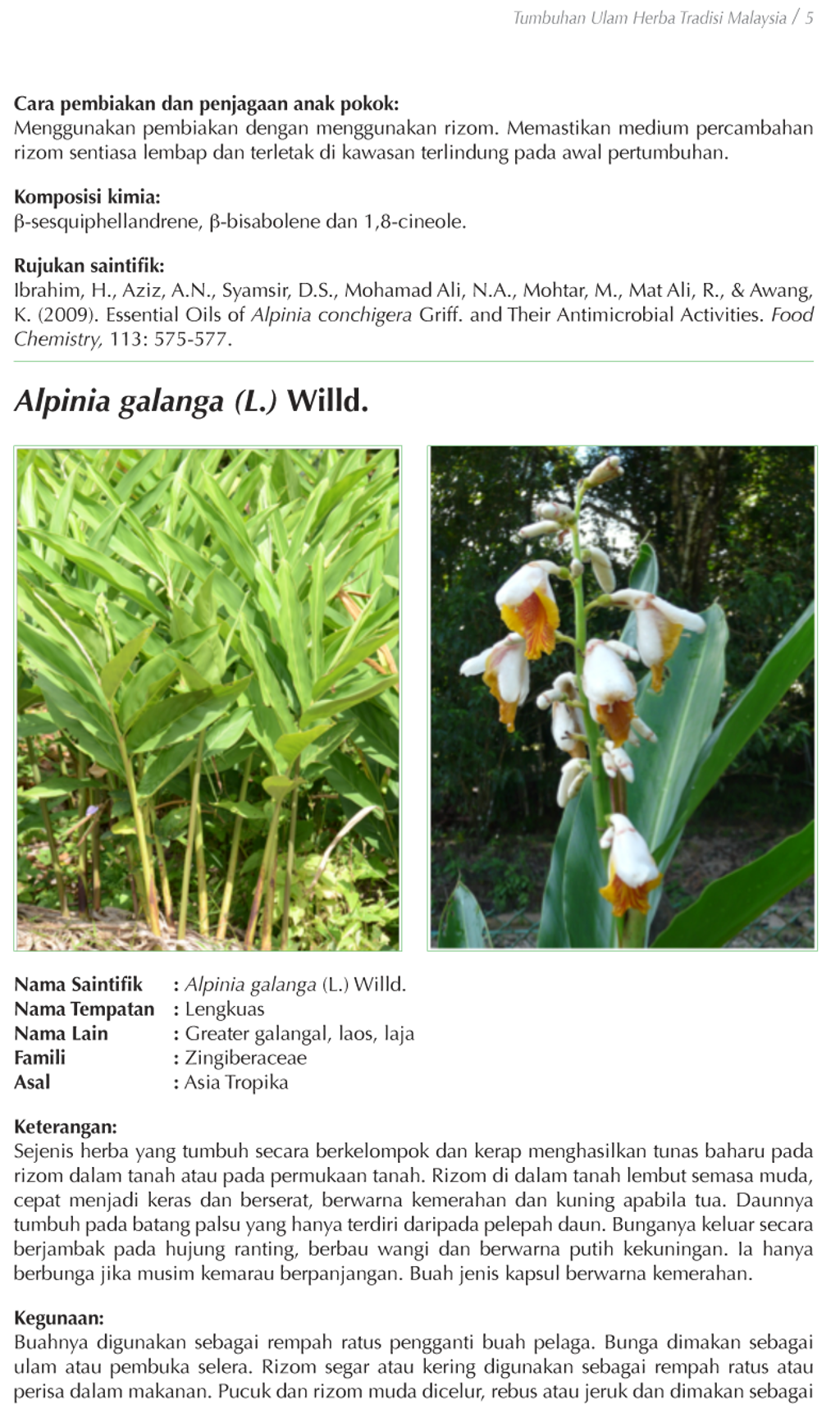 Cover-Tumbuhan_ulam_herba_tradisi_malaysia-UMT-14.png