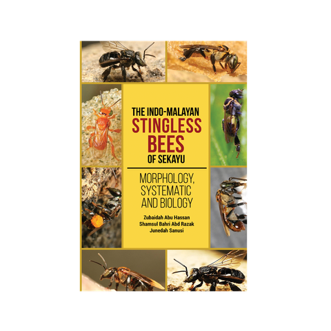stingless bees2