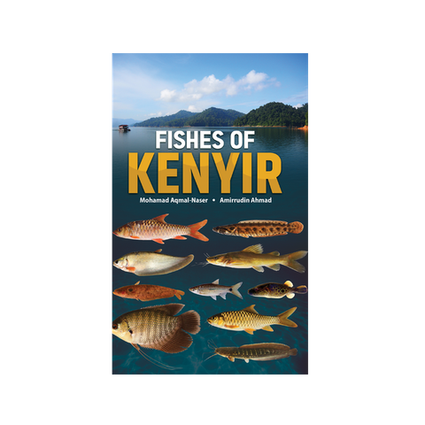 fishesofkenyir2