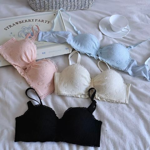 IMG_3288-1739612641025