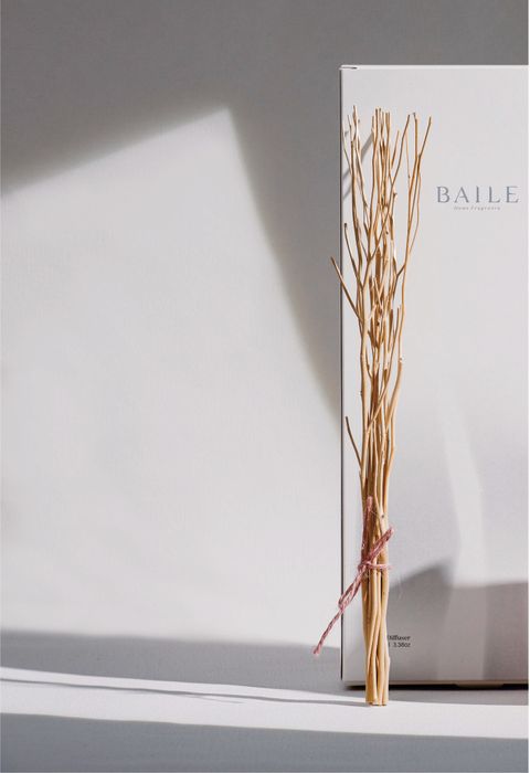 樹枝_工作區域 1.jpg